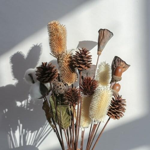 5PCS Natural Real Dried Flowers Lotus Acorn Pine Cone Wedding Party Decoration Home DIY Handmade Craft Decoration Accessories