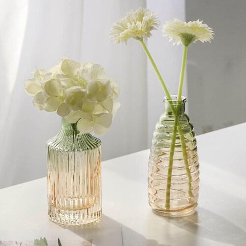 Gradient Glass Vase Scandinavian Fresh Flower Container Jar Hydroponic Plant Table Vase Home Decor Floral Storage Bottle