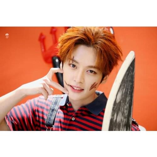 New Lee Know KPOP Posters On The Wall Modern Anime/Movie/Abstract Rectangle Poster Silk Fabric Cloth Wall Art Unframed