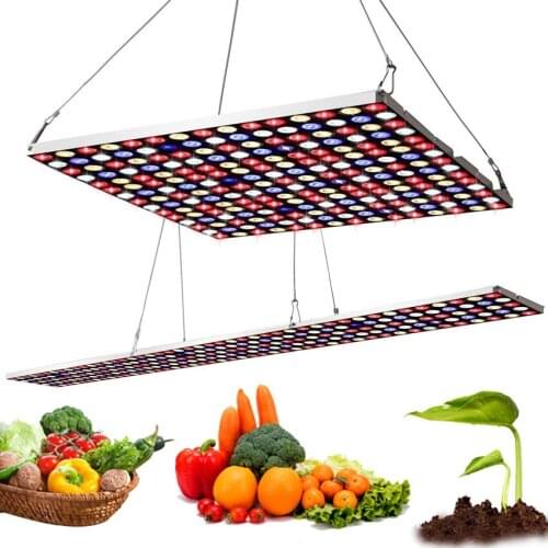 Leclstar Plant Lamps