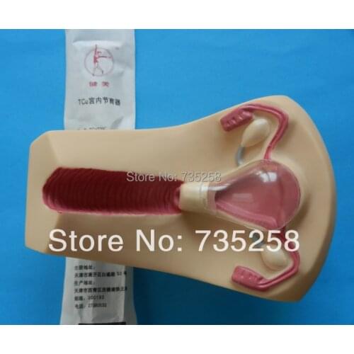 IUD Training Simulator,Female intrauterine contraceptive device training model