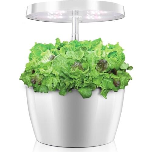 Hydroponics System Intelligent Box with Grow Light Ecoo Grower Indoor Home Garden Nursery Pots Educational Toys for Children