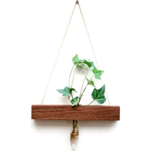 Indoor Propagation Station Home Decor Test Tube Vase Planter Wall Hanging Wood Glass Terrarium Office