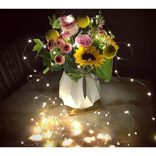 5M LED String Light Copper Wire String Holiday Outdoor Christmas Lights Girl Room Decorations Fairy Light For Wedding Decoration