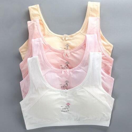 Girls Bra Development Period Without Steel Ring with Cotton Cartoon Summer Girl Half Body Tube Top Wholesale