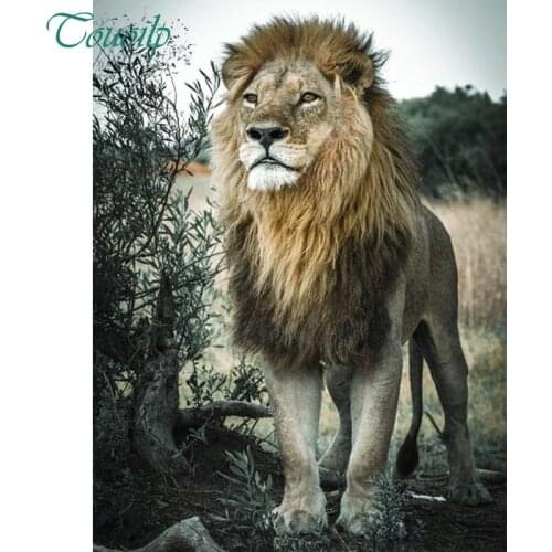 Diy Diamond Painting Cross Stitch Square&round Animal lion Diamond Embroidery 5D Diamond Mosaic Crafts Home Decor