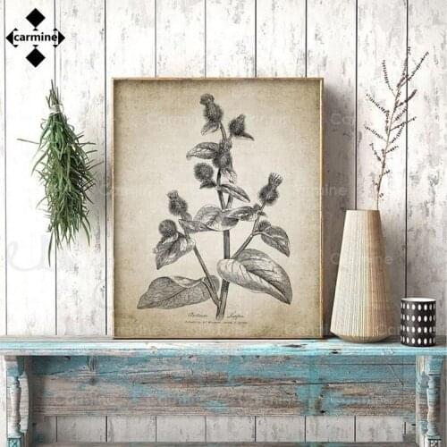 Plants Picture for Living Room Antique Botanical Poster and Print Rustic Farmhouse Wall Art Canvas Painting Home Wall Decoration