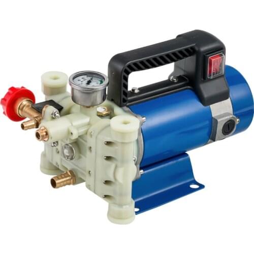 Ual-cylinder plunger pump，high pressure portable disinfection machine，agricultural fruit tree sprayer，12V with sprayer gun