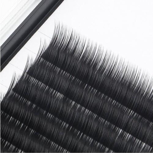 HBZGTLAD Camellia Eyelash 3D-6D 0.03 mmVolume Eyelash Extensions Mixed Length in One Lash Strip Packing Lash Box