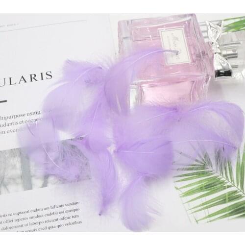 100Pcs Goose Feathers Stage Swan Plumes Wedding Party Decoration Clothing Down Fluffy Feathers DIY Dream Catcher Craft Feathers