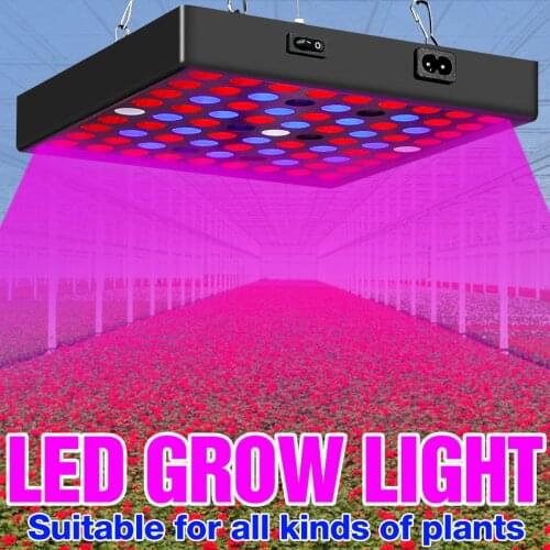 50W 80W LED Grow Light Phyto Lamp Full Spectrum Plant Lamp Growing Light for Vertical Farming Veg Flower Seeds Indoor Plants
