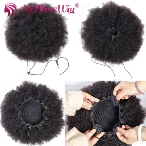 ALI BLISS WIG Chignon