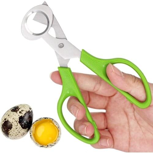 Bird Tools Pigeon Quail Egg Scissor Stainless Steel Blade Creative Cutter Egg Opener Cutting Device Kitchen Tools Scissor