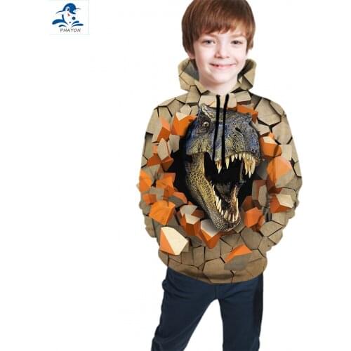 PHAYON Boys Girls Sweatshirt Kids Hoodies 3D Dinosaur Print Hoodies Teen Autumn Animals Loose Pullovers Children Clothing