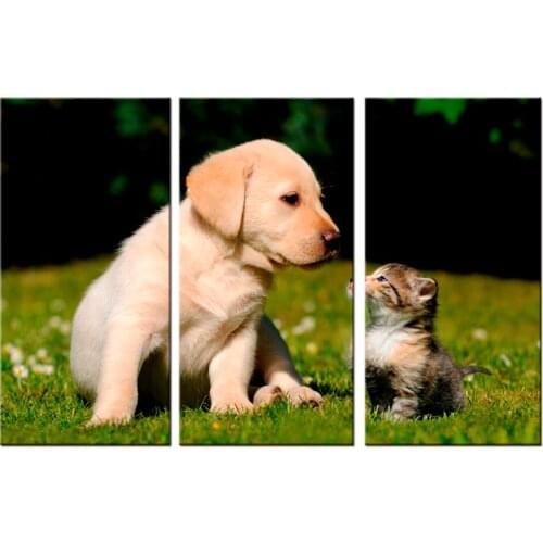 3 pieces / set Printings Cat and Dog Animal Sprout Pet Series Expression Poster Printing Canvas Art Living Room Decor