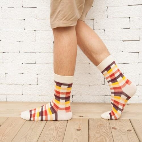 High End Business Autumn Winter Man Cotton Ins Fashion Plaid Street Casual Outing Breathable Deodorant Funny Middle Tube Socks