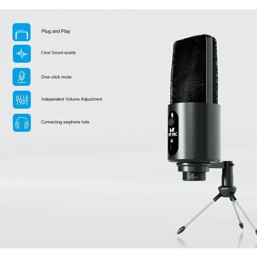 USB Condenser Microphone for Kareoke Computer 192KHz with Stand