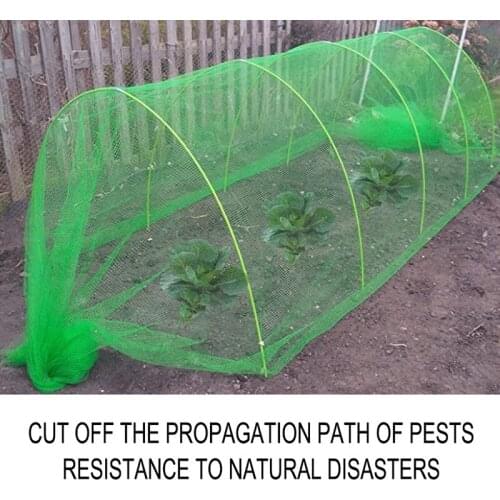 Garden Netting Bug Insect Bird protect Net Vegetables Fruits Flowers Plant Protection Greenhouse Garden Netting Summer