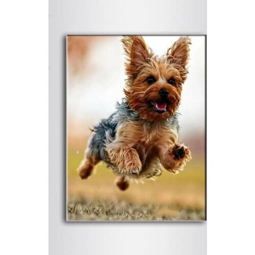 Diy5d diamond mosaic diamond painting dog diamond painting full square/round diamond embroidery kit cute pets art handmade gifts