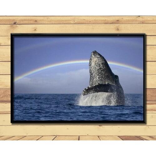 Humpback Whale Ferocious Giant Marine Animal (25) Wall Posters Prints Silk Art Painting For Home Wall Bedroom Decor