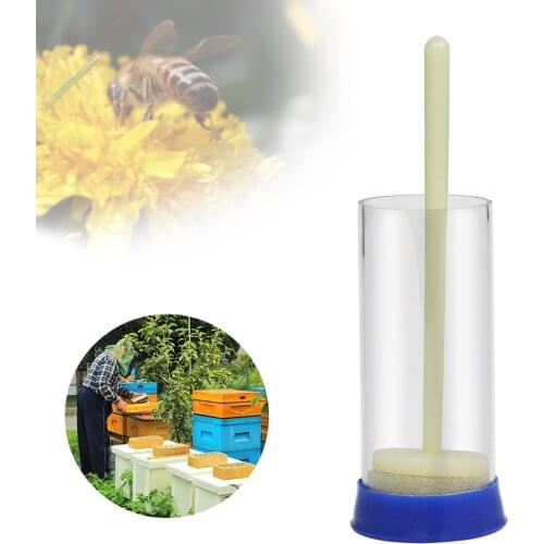 Queen Bee Marking Bottle Simple Tool Queen Bee Marking Bottle Simple Tool Queen Mark Tube Goods Tools For Beekeeper Supplies