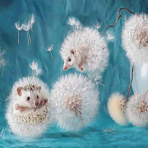 Hot Sale! 5D Full Square Diamond Painting Diamond Mosaic picture of rhinestone Diamond Embroidery cute Dandelion hedgehog