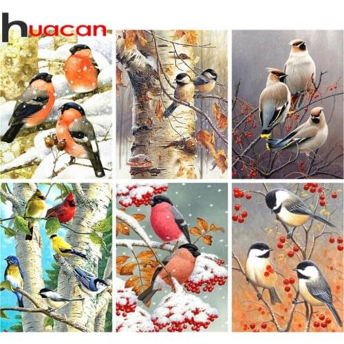 Huacan 5D DIY Diamond Painting Bird Art Kits Diamond Embroidery Animal Full Square Mosaic Home Decoration