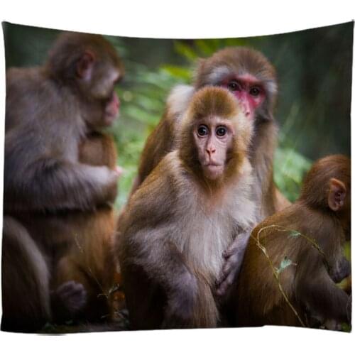 Creative 3D Painting Animal Photographs Monkey Tapestry Wall Hanging Bed Spread Beach Towel Table Cloth Yoga Mat Large Size