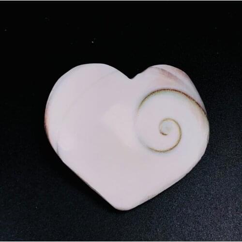 Natural Heart Shaped Fossil Sun Shell Mineral Specimen Collection Decoration