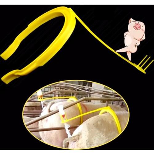 Pig Insemination Clip Holder Sows Insemination Fertilization Artificial with Auxiliary Clamping Ring