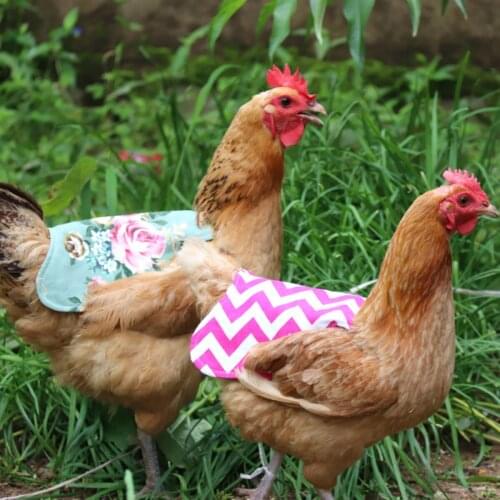 Chicken Saddle Hen Aprons Wing Back Protector Printed Feather Protective Jacket for Poultry