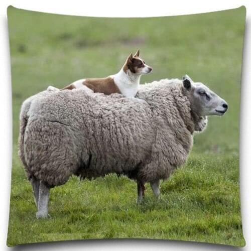 Dog lying on the Alpacas back Square Cushion Cover Home sofa chair car duck swan Textiles kids Gift Bedclothes 5 size 9 style