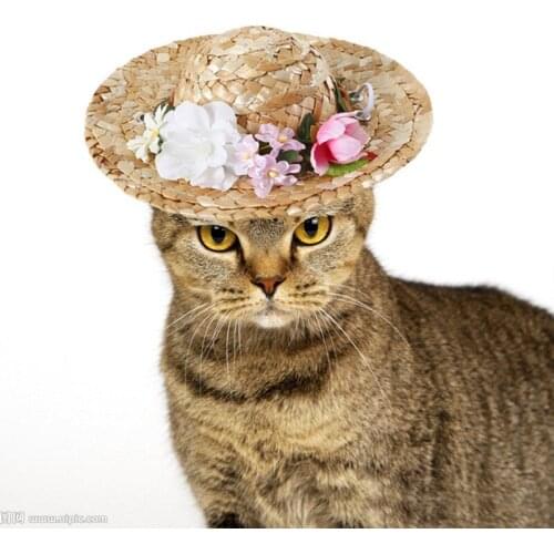 Summer Hat Pearl Lacel Cat Woven Hat Sunshade Pet Hat Sombrero For Small Dogs Cats Beach Party Straw Costume Cat Accessories New