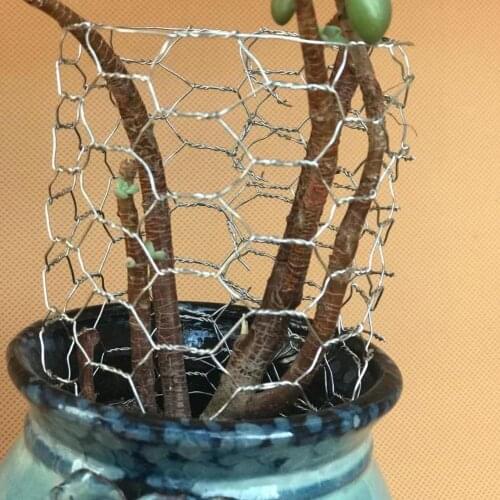 Wire Netting Wire Mesh Protective Galvanized Hexagonal DIY Wire Netting Sturdy Garden Plants Yard Home Decor Fence Lightweight