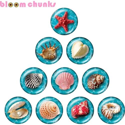 Beach Starfish shell 10pcs mixed 12mm/18mm/20mm/25mm Round photo glass cabochon demo flat back Making findings S1443