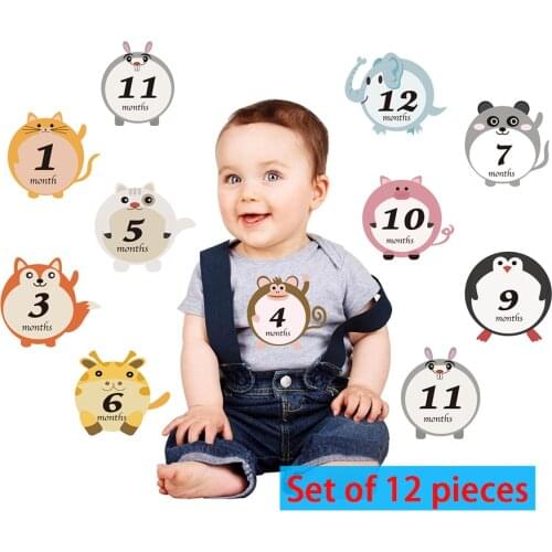 12pcs/set Cute Animals Style Baby Monthly Memory Milestone Record Cards Newborn Baby Photography Props Reusable Baby Souvenirs