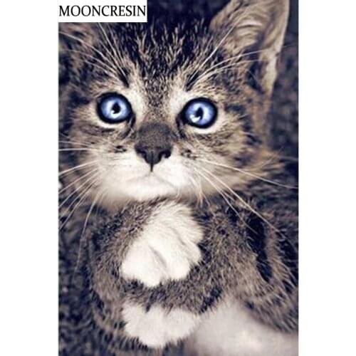 5D Diy Diamond Painting Cross-Stitch Kit Diamond Embroidery Animal Cat Mosaic Pictures Of Rhinestones Paintings By Numbers Decor