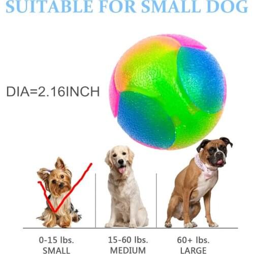 Cute Pet Hot Selling High Elasticity Dog Toy Ball Small Dog Teddy Pet Ball Glow Bouncing Ball