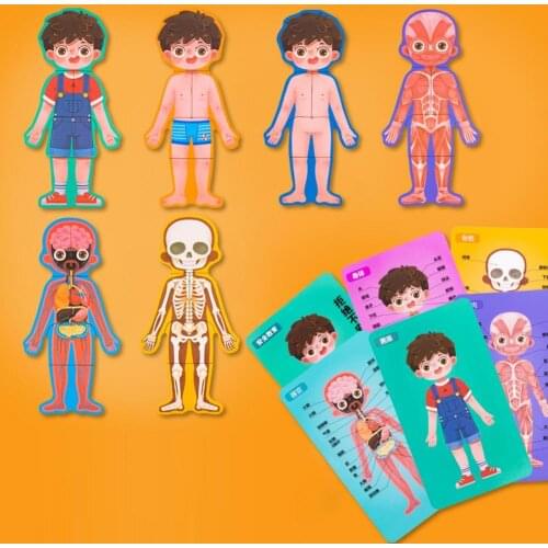 Children Biological toys Human Body Structure Cognitive Puzzle Wooden Puzzle Toys Boys and Girls Safety Education Toys
