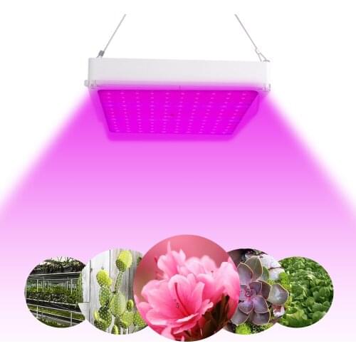 100W AC85-265V Growing Lamps 120 LEDs Grow Light Full Spectrum Plant Lighting Fitolampy For Plants Flowers Seedling Cultivation