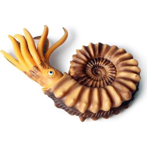 Solid Simulation Nautilus Animal Figure Collectible Toys Sea Life Action Figures Kids Plastic Cement Toys