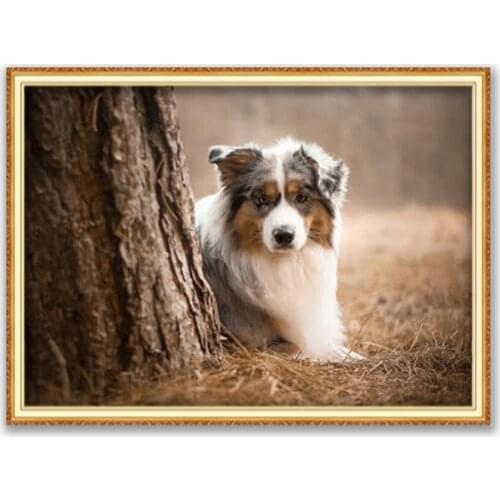 Animal Border Collie DIY 11CT Cross Stitch Embroidery Kits Needlework Craft Set Cotton Thread Printed Canvas Home Decoration