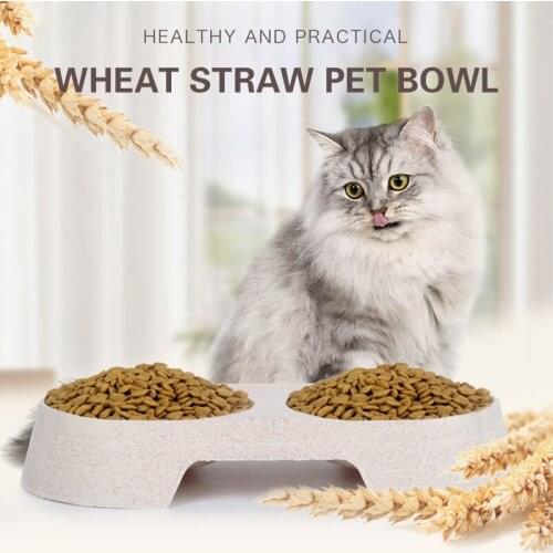 2 In 1 Pet Cat Bowl Feeding Dishes Double Feeder Bowls Water Drinking Cup Creative Candy Cute Eating Dish for Dogs Pet Supplies