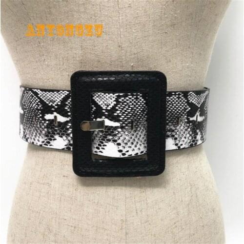 ANYONGZU Snakeskin Women Wide Waist Belt Big Square Buckle Autumn Green Black Yellow Vintage Ladies Dress Belts Belts For Women