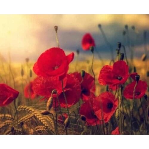 Painting By Numbers DIY Dropshipping 40x50 50x65cm Small Red Flower Field Flower Canvas Wedding Decoration Art picture Gift