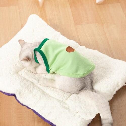 Avocado Color Vest For Cats Summer Cute Cat Clothes Pet Dog Cooling Vest Breathable Sphynx Cat Clothes Cotton Pet Puppy T shirt