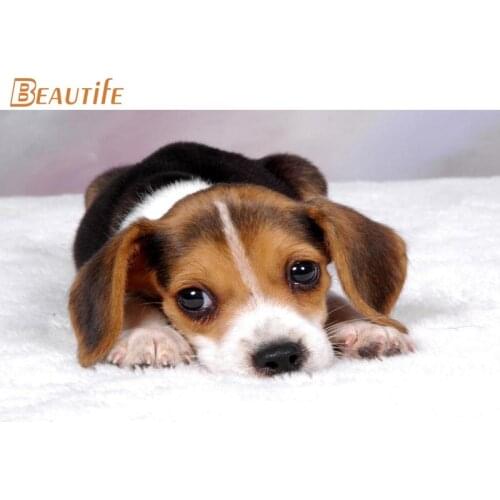 Hot Custom funny dog Cloth Silk Fabric poster Home Decor Wall Art Cloth Silk wall poster print your design