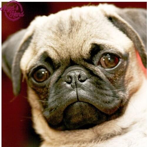 5D Pug dog DIY Diamond Painting Resin square full diamond Decorative embroidery mosaic picture cross stitch needlework