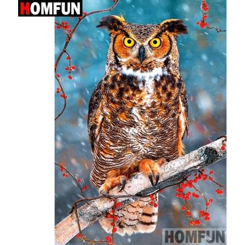 HOMFUN Full Square/Round Drill 5D DIY Diamond Painting "Animal owl" Embroidery Cross Stitch 5D Home Decor Gift A09525