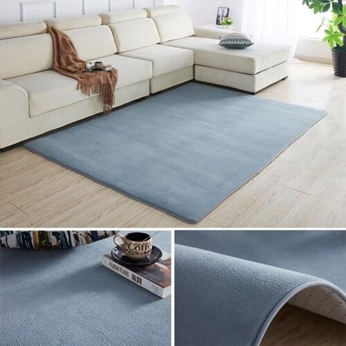 Coral velvet large carpet for livingroom bedroom bedside table modern rectangular home rug soft sofa tatamit apete children play